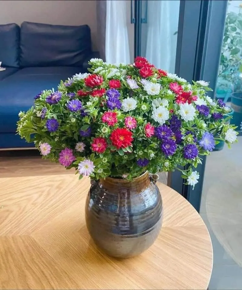 Apartment Can Ho The Western Capital 3Pn Ho Chi Minh City