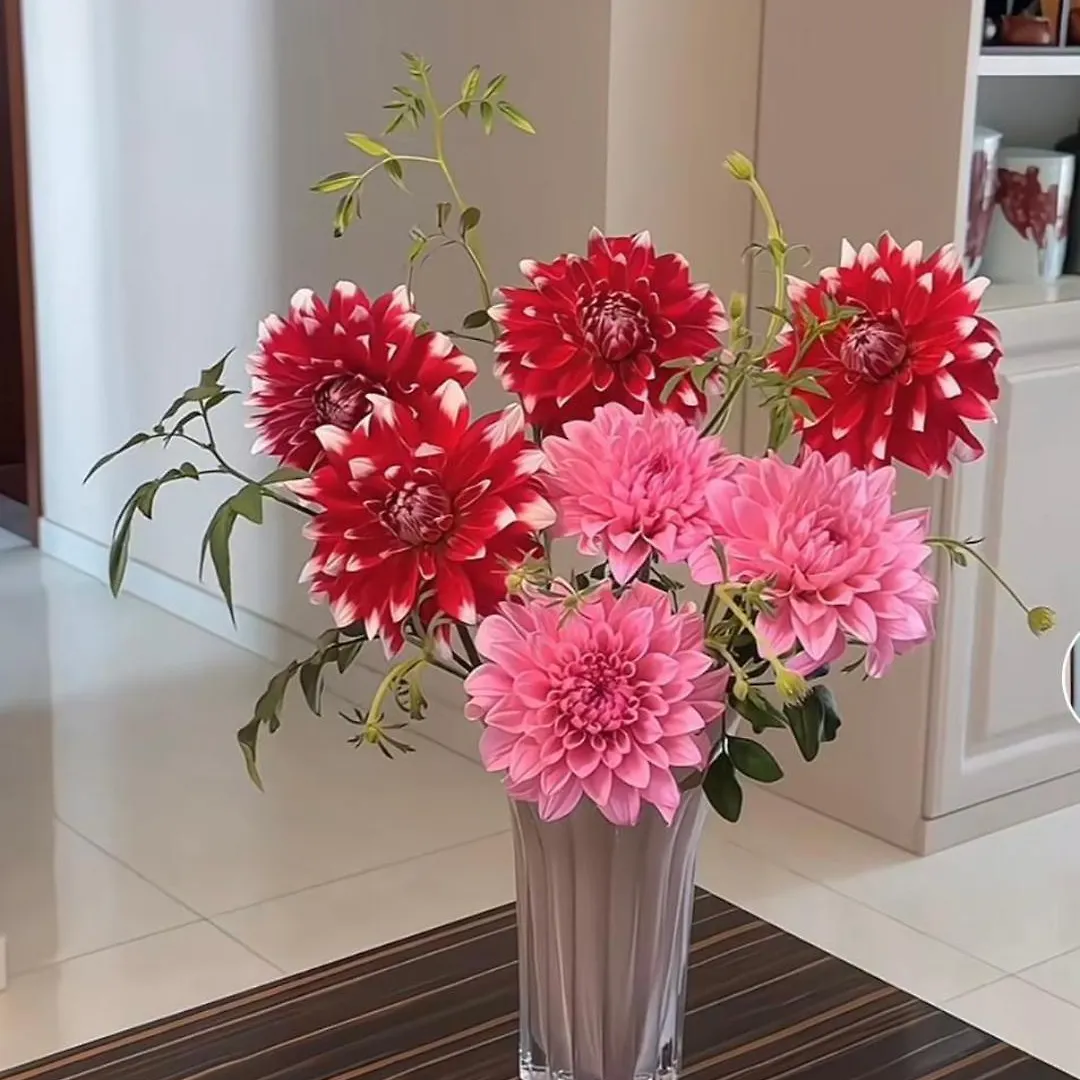 Can Ho The Western Capital 3Pn Ho Chi Minh City Apartment